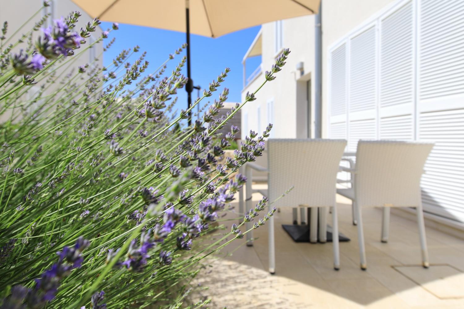 Sunnyside Apartments Resort بيتريتْشاني المظهر الخارجي الصورة